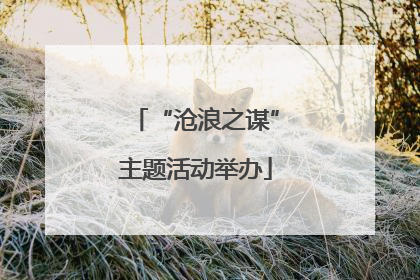 “沧浪之谋”主题活动举办
