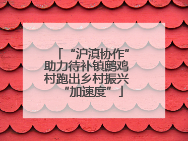 “沪滇协作”助力待补镇鹧鸡村跑出乡村振兴“加速度”