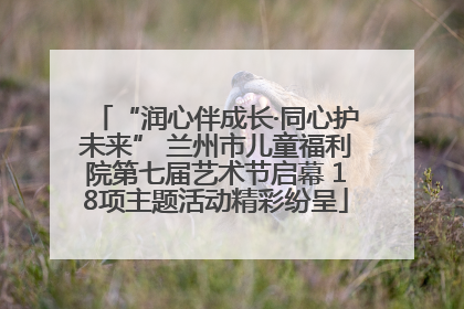 “润心伴成长·同心护未来” 兰州市儿童福利院第七届艺术节启幕 18项主题活动精彩纷呈