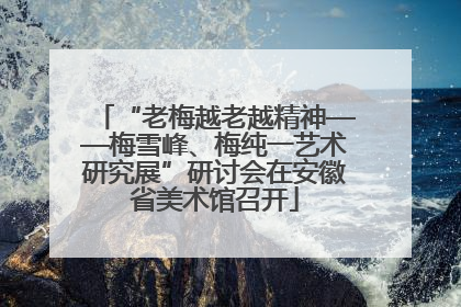 “老梅越老越精神——梅雪峰、梅纯一艺术研究展”研讨会在安徽省美术馆召开