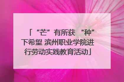 “芒”有所获 “种”下希望 滨州职业学院进行劳动实践教育活动