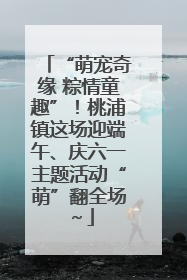 “萌宠奇缘 粽情童趣”！桃浦镇这场迎端午、庆六一主题活动“萌”翻全场～
