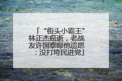 “街头小霸王”林正杰癌逝，老战友许国泰曝他遗愿：没打垮民进党