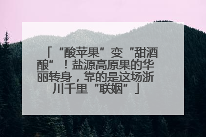 “酸苹果”变“甜酒酿”！盐源高原果的华丽转身，靠的是这场浙川千里“联姻”