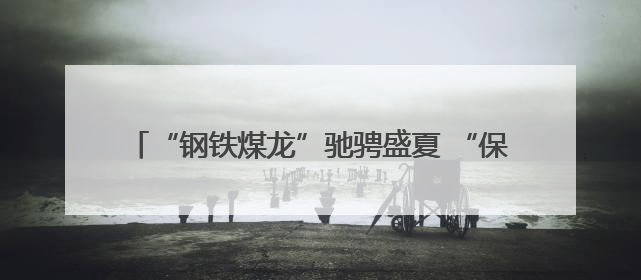 “钢铁煤龙”驰骋盛夏 “保供赛道”——七台河站电煤保供跑出迎峰度夏 “加速度”