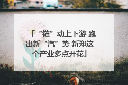 “链”动上下游 跑出新“汽”势 新郑这个产业多点开花