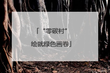 “零碳村” 绘就绿色画卷