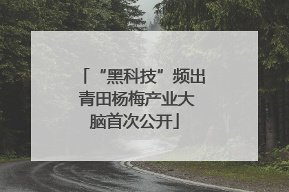 “黑科技”频出 青田杨梅产业大脑首次公开