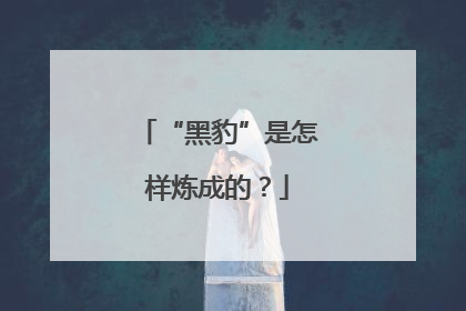 “黑豹”是怎样炼成的？