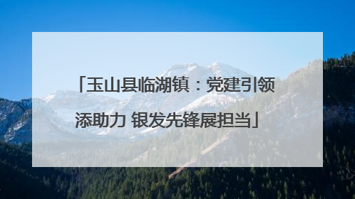 玉山县临湖镇：党建引领添助力 银发先锋展担当
