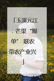玉溪元江：芒果“爆单” 联农带农产业兴