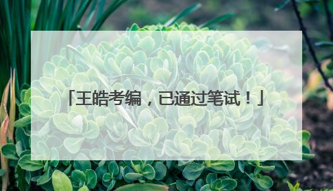王皓考编，已通过笔试！
