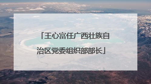 王心富任广西壮族自治区党委组织部部长