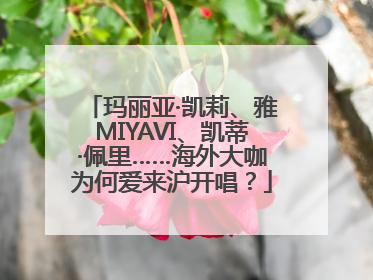 玛丽亚·凯莉、雅MIYAVI、凯蒂·佩里……海外大咖为何爱来沪开唱？