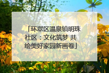 环翠区温泉镇明珠社区：文化筑梦 共绘美好家园新画卷