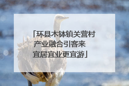 环县木钵镇关营村 产业融合引客来 宜居宜业更宜游