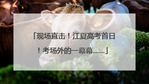 现场直击！江夏高考首日！考场外的一幕幕……
