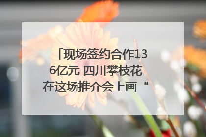 现场签约合作136亿元 四川攀枝花在这场推介会上画“图谱”列“清单”