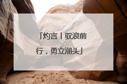灼言丨驭浪前行，勇立潮头