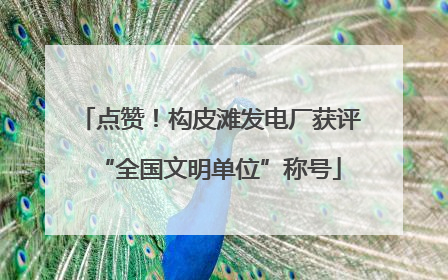 点赞！构皮滩发电厂获评“全国文明单位”称号