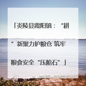 炎陵县霞阳镇：“耕”新聚力护粮仓 筑牢粮食安全“压舱石”