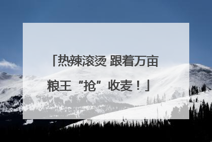 热辣滚烫 跟着万亩粮王“抢”收麦！
