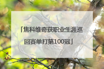 焦科维奇获职业生涯巡回赛单打第100冠