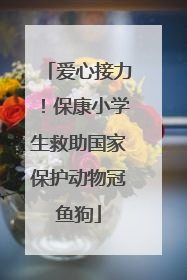 爱心接力！保康小学生救助国家保护动物冠鱼狗