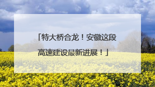 特大桥合龙！安徽这段高速建设最新进展！