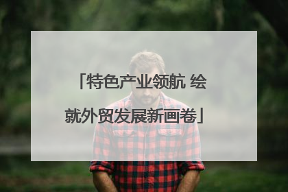 特色产业领航 绘就外贸发展新画卷