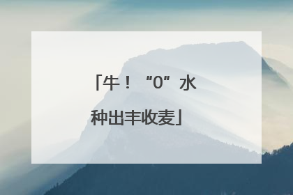 牛！“0”水种出丰收麦