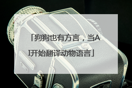 狗狗也有方言，当AI开始翻译动物语言