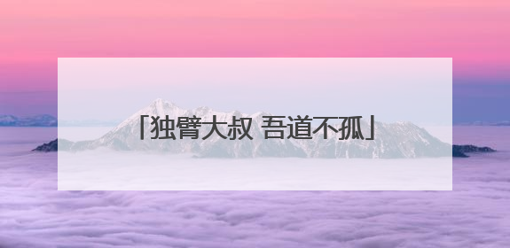 独臂大叔 吾道不孤
