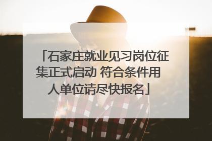石家庄就业见习岗位征集正式启动 符合条件用人单位请尽快报名
