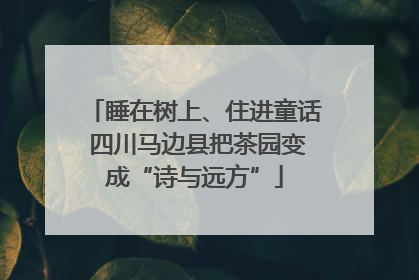 睡在树上、住进童话 四川马边县把茶园变成“诗与远方”