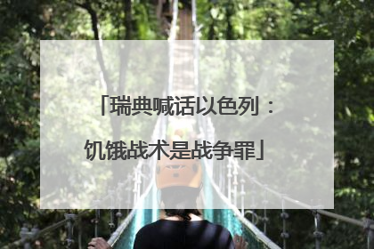 瑞典喊话以色列：饥饿战术是战争罪