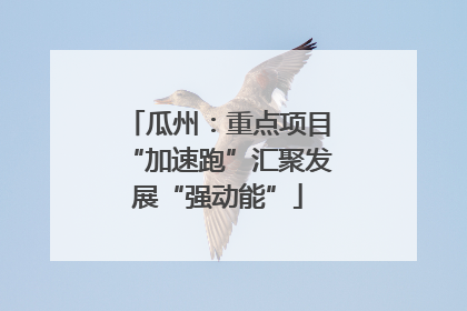 瓜州：重点项目“加速跑”汇聚发展“强动能”