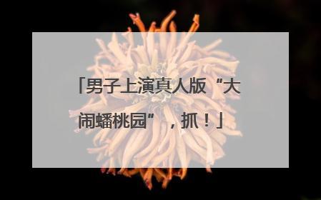 男子上演真人版“大闹蟠桃园”，抓！
