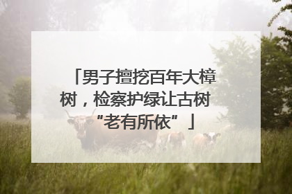 男子擅挖百年大樟树，检察护绿让古树“老有所依”