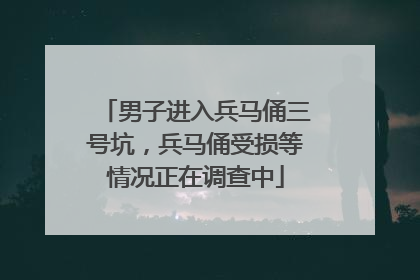 男子进入兵马俑三号坑，兵马俑受损等情况正在调查中