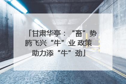 甘肃华亭：“畜”势腾飞兴“牛”业 政策助力添“牛”劲