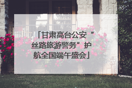 甘肃高台公安“丝路旅游警务”护航全国端午盛会