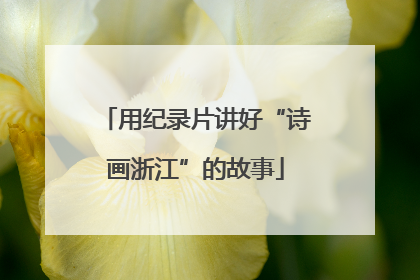 用纪录片讲好“诗画浙江”的故事