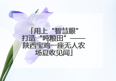 用上“智慧眼” 打造“吨粮田”——陕西宝鸡一座无人农场夏收见闻