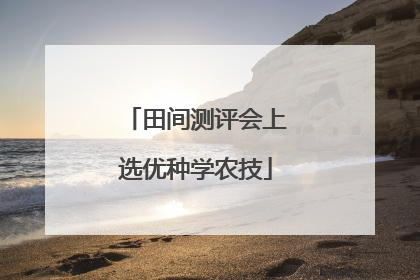 田间测评会上选优种学农技