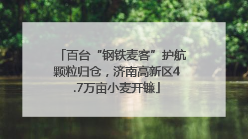 百台“钢铁麦客”护航颗粒归仓，济南高新区4.7万亩小麦开镰