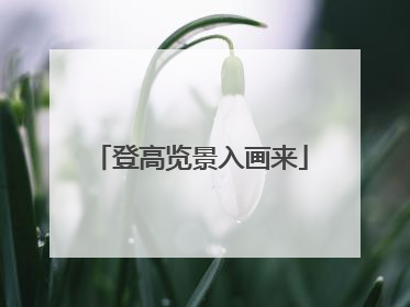 登高览景入画来