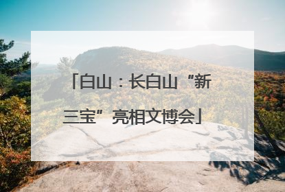 白山：长白山“新三宝”亮相文博会