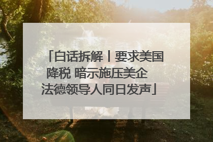 白话拆解丨要求美国降税 暗示施压美企 法德领导人同日发声