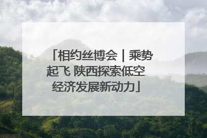 相约丝博会｜乘势起飞 陕西探索低空经济发展新动力